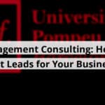 management consulting how to get leads for your business blog post upload 11 11 2025 69129a8a0a202