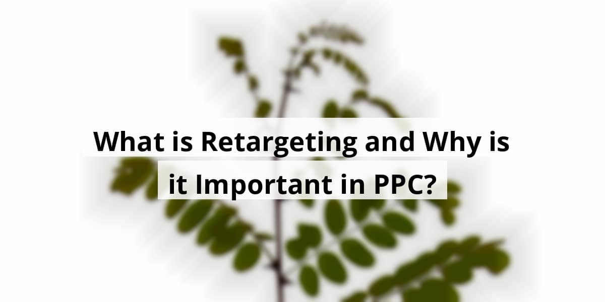 what-is-retargeting-and-why-is-it-important-in-ppc_blog_post_upload_11-12-2025-6913ee7341c15